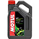 Motul 104056 mini