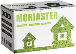 Moriaster