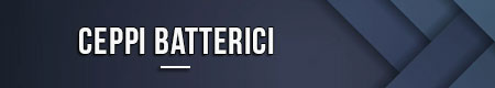 Ceppi batterici