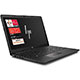 HP 255 G7 mini