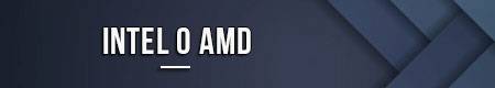 Intel o AMD