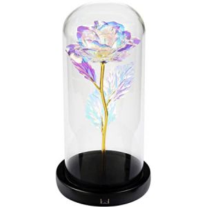 LCCL Kit di Rose da "La Bella e la Bestia"