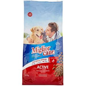 Miglior Cane Active