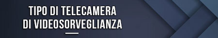 Tipo di telecamera di videosorveglianza