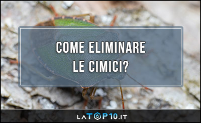 Come eliminare le cimici