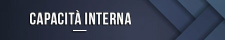Capacità interna