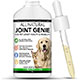 The Healthy Dog Co. All Natural Joint Genie mini