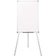VIZ-PRO EB2436TL mini
