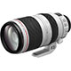 Canon EF 100-400 mm f/4,5-5,6 L mini