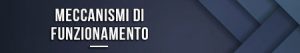 Meccanismi di funzionamento