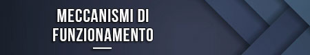 Meccanismi di funzionamento