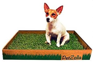 PetZolla