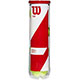 Wilson Team W Practice mini