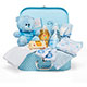 Baby Box Shop BlueCase001 mini