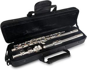 Classic Cantabile FL-200