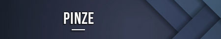 Pinze
