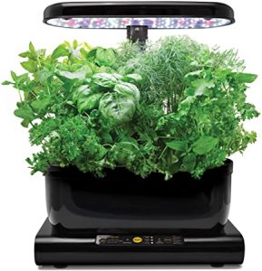 AeroGarden Harvest Miracle-Gro