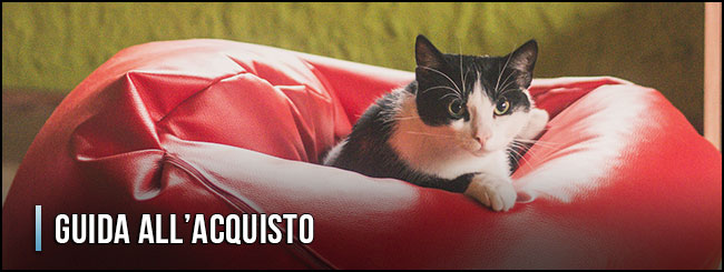 11115-poltrona-a-sacco-guida-all-acquisto