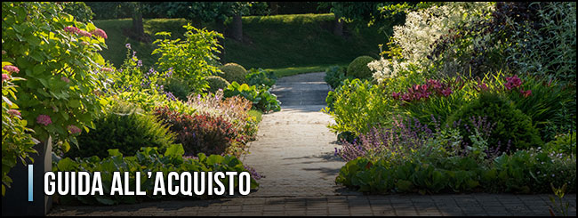 11163-tagliabordi-guida-all-acquisto