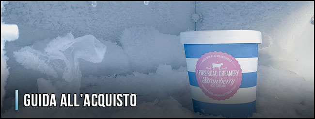 11208-congelatore-guida-all-acquisto