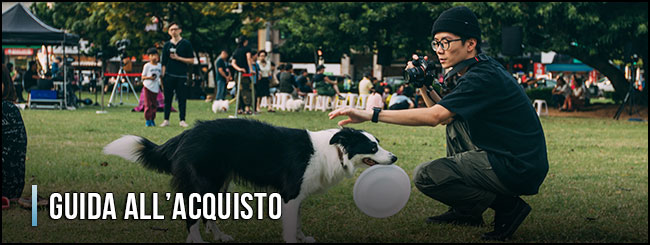 11353-collare-addestramento-per-cani-guida-all-acquisto