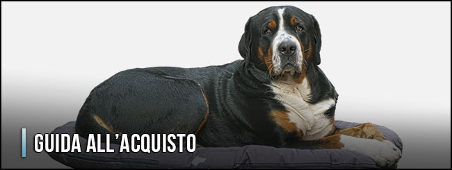 11372-cuscino-per-cani-guida-all-acquisto