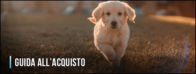 11436-porta-per-cani-guida-all-acquisto