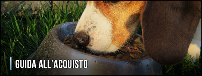 11453-cibo-umido-per-cani-guida-all-acquisto