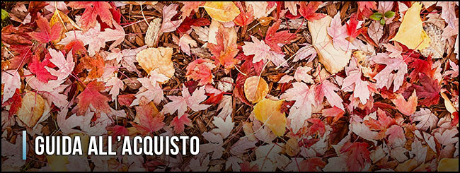 11517-soffiatore-elettrico-guida-all-acquisto