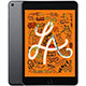 iPad mini mini