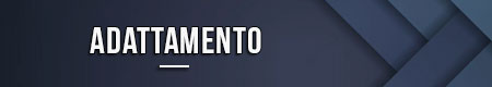 Adattamento
