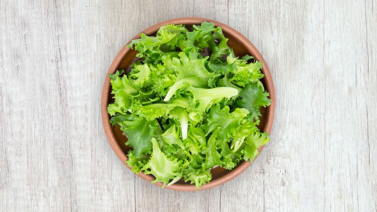 benefici-della-lattuga