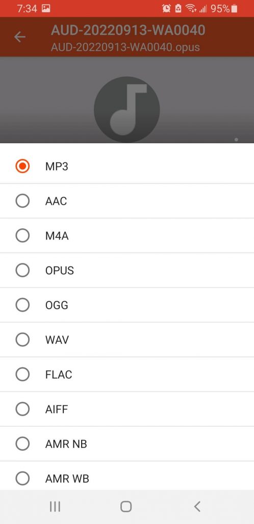 Scegliete-formato-di-uscita