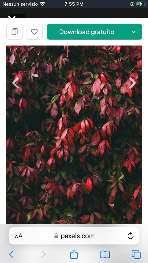 fare-clic-su-Download-gratuito