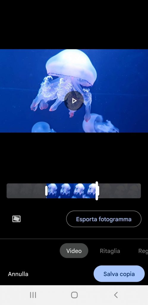 schiacciate-su-Salva-copia